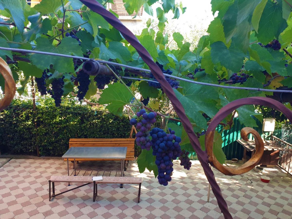 Guest House Lykhny Gagra Luaran gambar