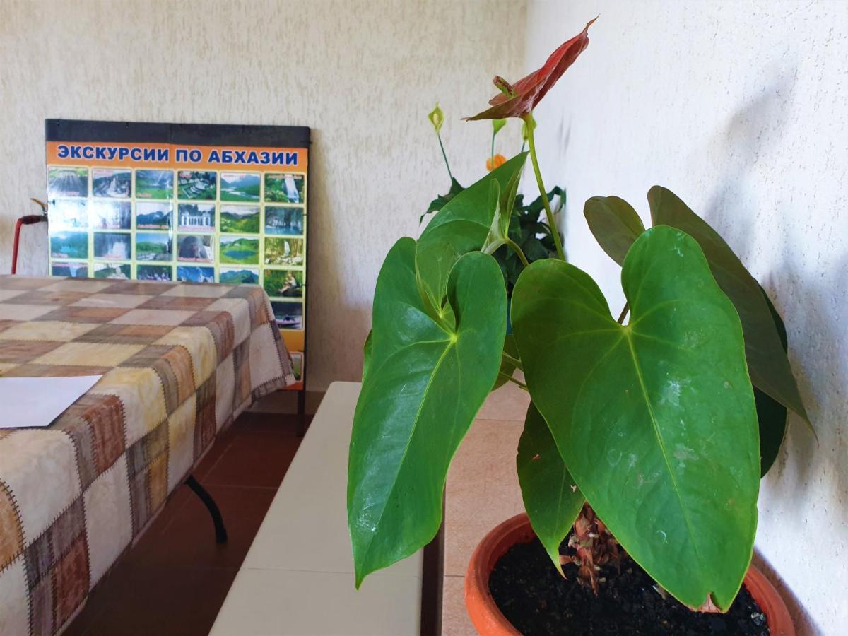 Guest House Lykhny Gagra Luaran gambar