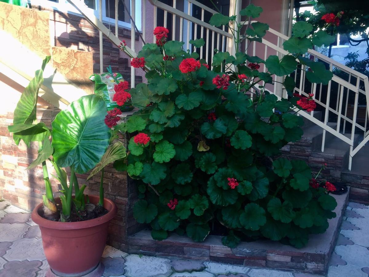 Guest House Lykhny Gagra Luaran gambar